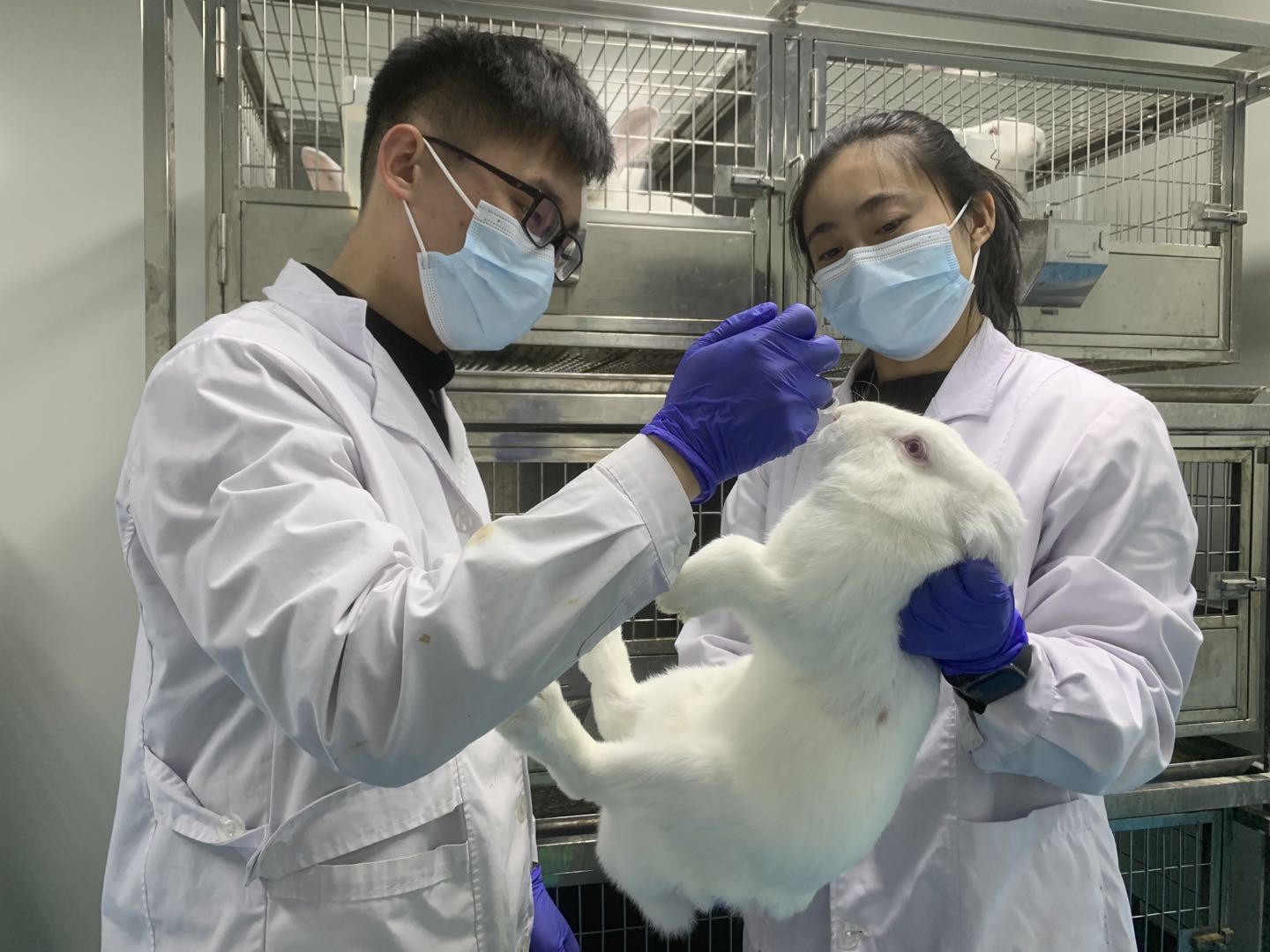 JXF吉祥坊·网址生物